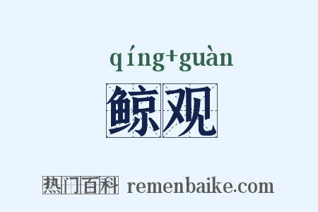 鲸观是什么意思的图片